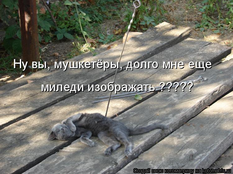 Ну вы, мушкетёры, долго мне еще миледи изображать ?????... Котоматрица: Ну вы, мушкетёры, долго мне еще миледи изображать ?????