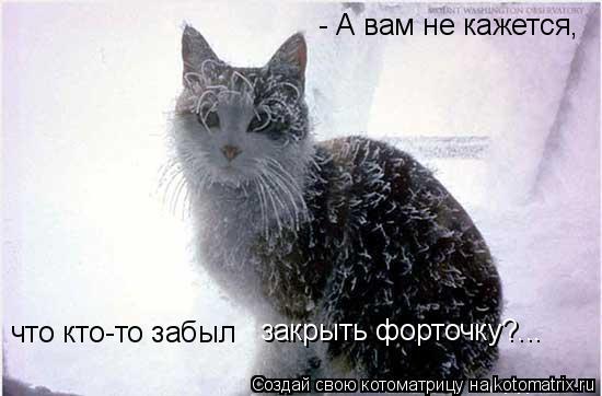- А вам не кажется, что кто-то забыл закрыть форточку?...... Котоматрица: - А вам не кажется, что кто-то забыл закрыть форточку?...
