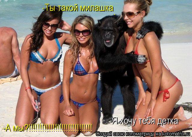 -Ты такой милашка ` -Я хочу тебя детка -А мы?!!!!!!!!!!!!!!!!!!!!!!!!!!!!!... Котоматрица: -Ты такой милашка ` -Я хочу тебя детка -А мы?!!!!!!!!!!!!!!!!!!!!!!!!!!!!!