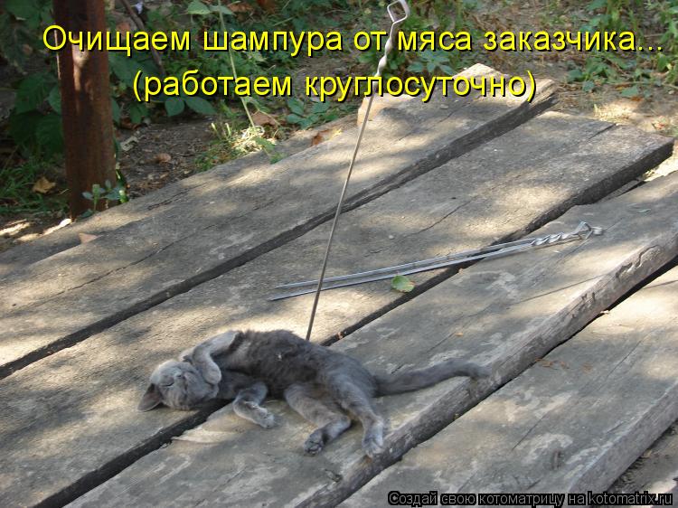 Очищаем шампура от мяса заказчика... (работаем круглосуточно)... Котоматрица: Очищаем шампура от мяса заказчика... (работаем круглосуточно)