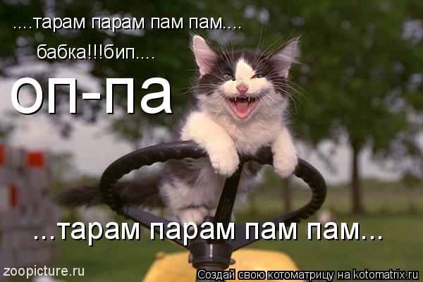 ....тарам парам пам пам.... бабка!!!бип.... оп-па ...тарам парам пам пам...... Котоматрица: ....тарам парам пам пам.... бабка!!!бип.... оп-па ...тарам парам пам пам...