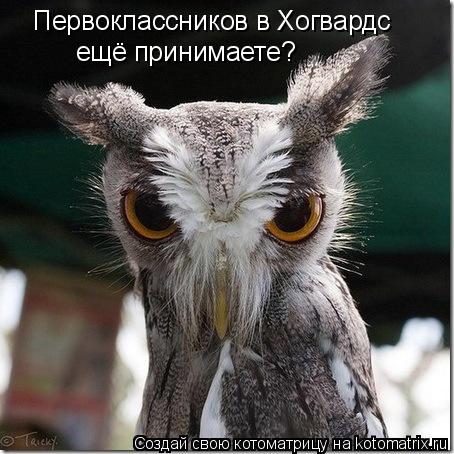 Первоклассников в Хогвардс ещё принимаете?... Котоматрица: Первоклассников в Хогвардс ещё принимаете?