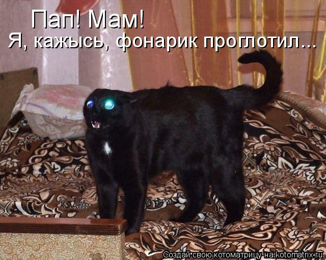 Пап! Мам! Я, кажысь, фонарик проглотил...... Котоматрица: Пап! Мам! Я, кажысь, фонарик проглотил...