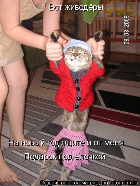 Вот живодёры На новый год ждите и от меня Подарок под ёлочкой... Котоматрица: Вот живодёры На новый год ждите и от меня Подарок под ёлочкой