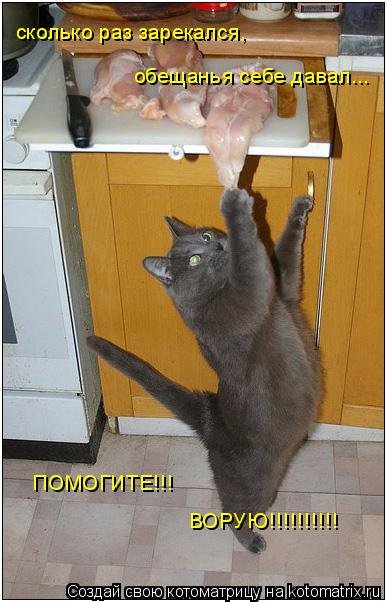 сколько раз зарекался, обещанья себе давал... ПОМОГИТЕ!!! ВОРУЮ!!!!!!!!!!... Котоматрица: сколько раз зарекался, обещанья себе давал... ПОМОГИТЕ!!! ВОРУЮ!!!!!!!!!!