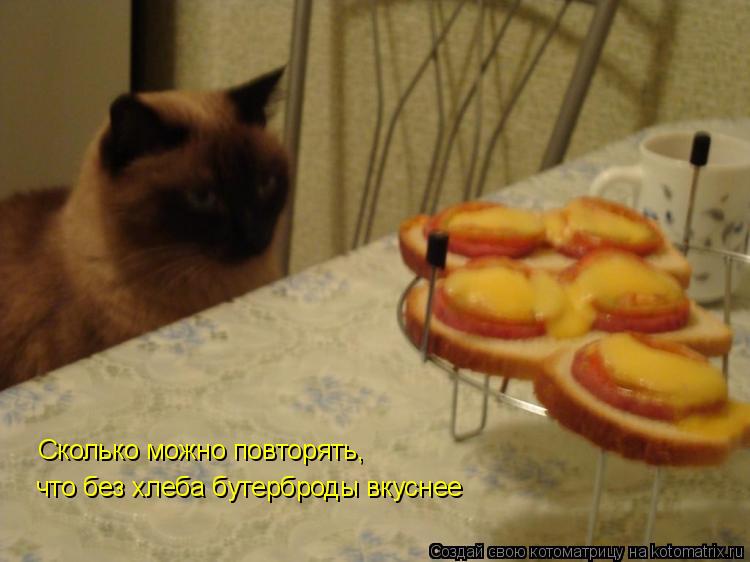 Сколько можно повторять, что без хлеба бутерброды вкуснее... Котоматрица: Сколько можно повторять, что без хлеба бутерброды вкуснее