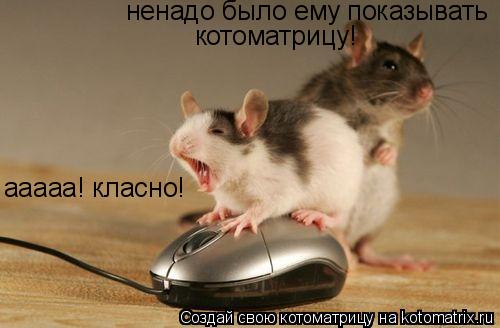 ааааа! класно! ненадо было ему показывать котоматрицу!... Котоматрица: ааааа! класно! ненадо было ему показывать котоматрицу!