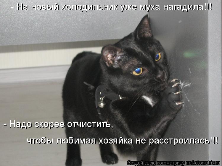 - На новый холодильник уже муха нагадила!!! чтобы любимая хозяйка не расстроилась!!! - Надо скорее от... Котоматрица: - На новый холодильник уже муха нагадила!!! чтобы любимая хозяйка не расстроилась!!! - Надо скорее отчистить,