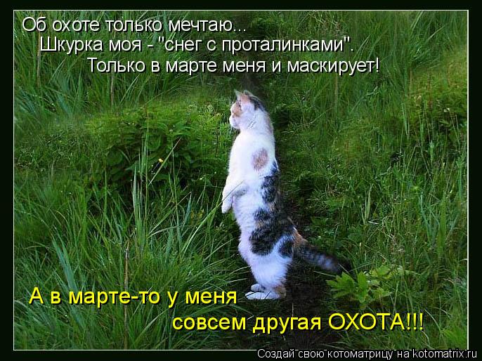 Об охоте только мечтаю... Шкурка моя - "снег с проталинками". Только в марте меня и маскирует! А в ма... Котоматрица: Об охоте только мечтаю... Шкурка моя - "снег с проталинками". Только в марте меня и маскирует! А в марте-то у меня совсем другая ОХОТА!!!