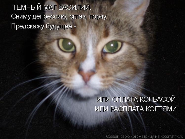 ТЕМНЫЙ МАГ ВАСИЛИЙ. Сниму депрессию, сглаз, порчу. Предскажу будущее - ИЛИ ОПЛАТА КОЛБАСОЙ ИЛИ РАС... Котоматрица: ТЕМНЫЙ МАГ ВАСИЛИЙ. Сниму депрессию, сглаз, порчу. Предскажу будущее - ИЛИ ОПЛАТА КОЛБАСОЙ ИЛИ РАСПЛАТА КОГТЯМИ!