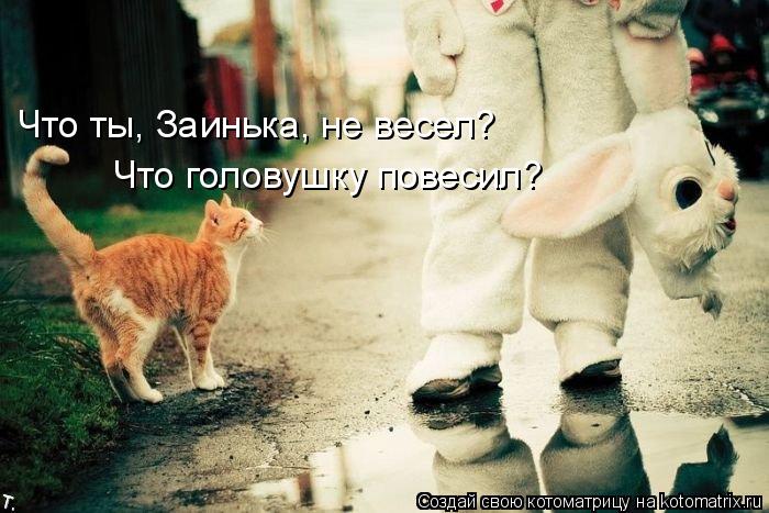 Что ты, Заинька, не весел? Что головушку повесил?... Котоматрица: Что ты, Заинька, не весел? Что головушку повесил?