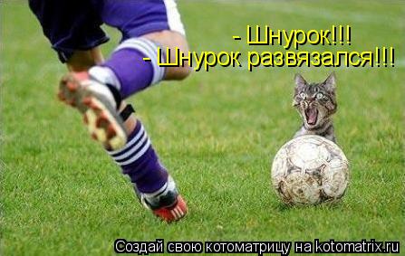 - Шнурок!!! - Шнурок развязался!!!... Котоматрица: - Шнурок!!! - Шнурок развязался!!!