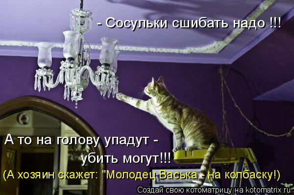 - Сосульки сшибать надо !!! А то на голову упадут - (А хозяин скажет: "Молодец Васька - на колбаску!... Котоматрица: - Сосульки сшибать надо !!! А то на голову упадут - (А хозяин скажет: "Молодец Васька - на колбаску!) убить могут!!!