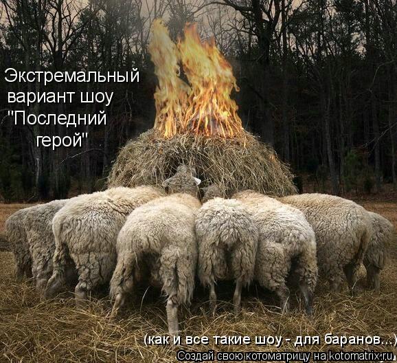 Экстремальный вариант шоу "Последний герой" (как и все такие шоу - для баранов...)... Котоматрица: Экстремальный вариант шоу "Последний герой" (как и все такие шоу - для баранов...)