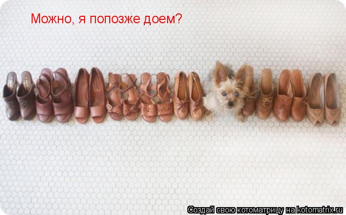 Можно, я попозже доем?... Котоматрица: Можно, я попозже доем?