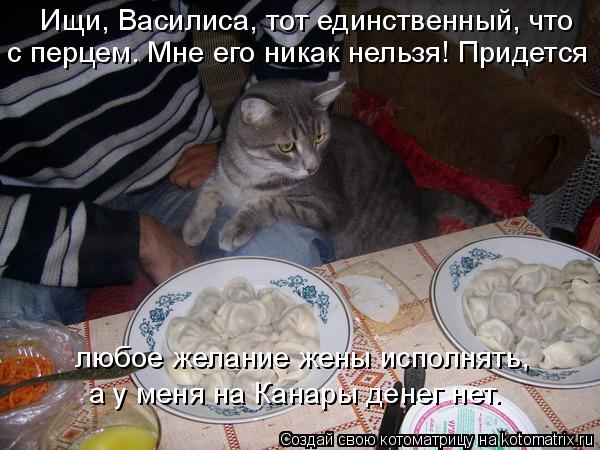 Ищи, Василиса, тот единственный, что с перцем. Мне его никак нельзя! Придется любое желание жены ис... Котоматрица: Ищи, Василиса, тот единственный, что с перцем. Мне его никак нельзя! Придется любое желание жены исполнять, а у меня на Канары денег нет.