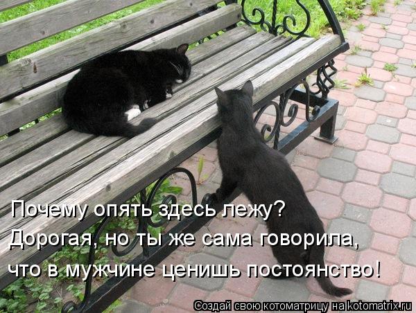 Почему опять здесь лежу? Дорогая, но ты же сама говорила, что в мужчине ценишь постоянство!... Котоматрица: Почему опять здесь лежу? Дорогая, но ты же сама говорила, что в мужчине ценишь постоянство!