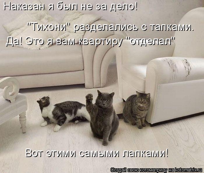 Наказан я был не за дело! "Тихони" разделались с тапками. Да! Это я вам квартиру "отделал" Вот этими ... Котоматрица: Наказан я был не за дело! "Тихони" разделались с тапками. Да! Это я вам квартиру "отделал" Вот этими самыми лапками!