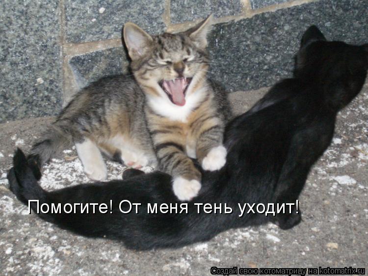 Помогите! От меня тень уходит!... Котоматрица: Помогите! От меня тень уходит!
