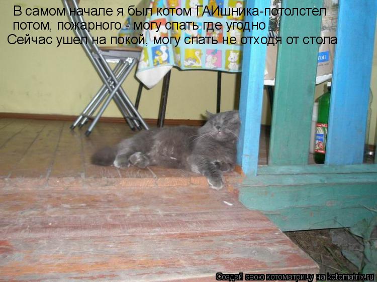 В самом начале я был котом ГАИшника-потолстел потом, пожарного - могу спать где угодно Сейчас ушел на... Котоматрица: В самом начале я был котом ГАИшника-потолстел потом, пожарного - могу спать где угодно Сейчас ушел на покой, могу спать не отходя от стола