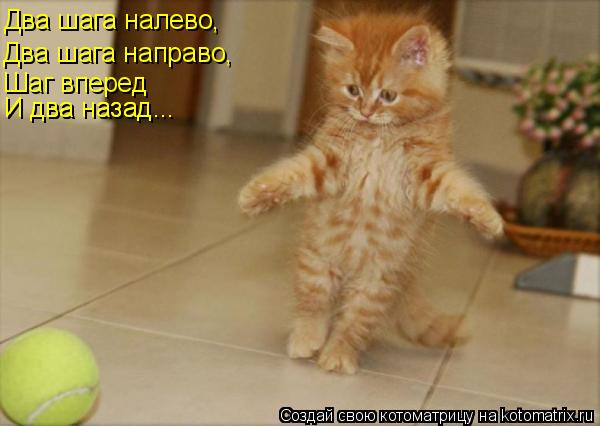 Два шага налево, Два шага направо, Шаг вперед И два назад... И два назад...... Котоматрица: Два шага налево, Два шага направо, Шаг вперед И два назад... И два назад...