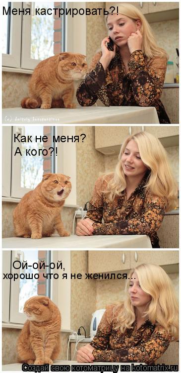 Меня кастрировать?! Как не меня? А кого?! Ой-ой-ой, хорошо что я не женился...... Котоматрица: Меня кастрировать?! Как не меня? А кого?! Ой-ой-ой, хорошо что я не женился...