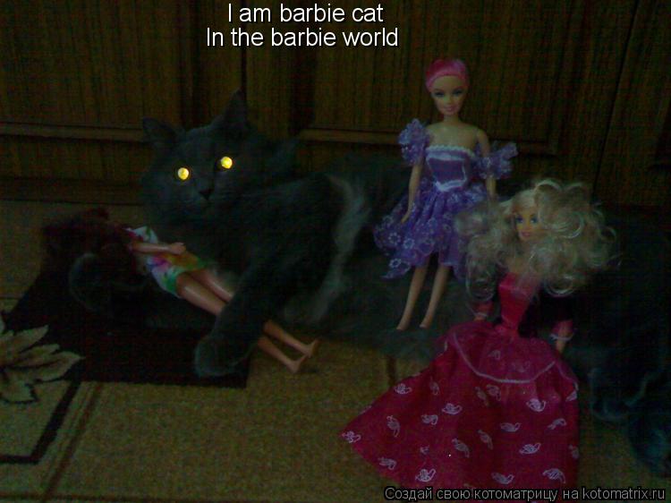 I am barbie cat In the barbie world... Котоматрица: I am barbie cat In the barbie world