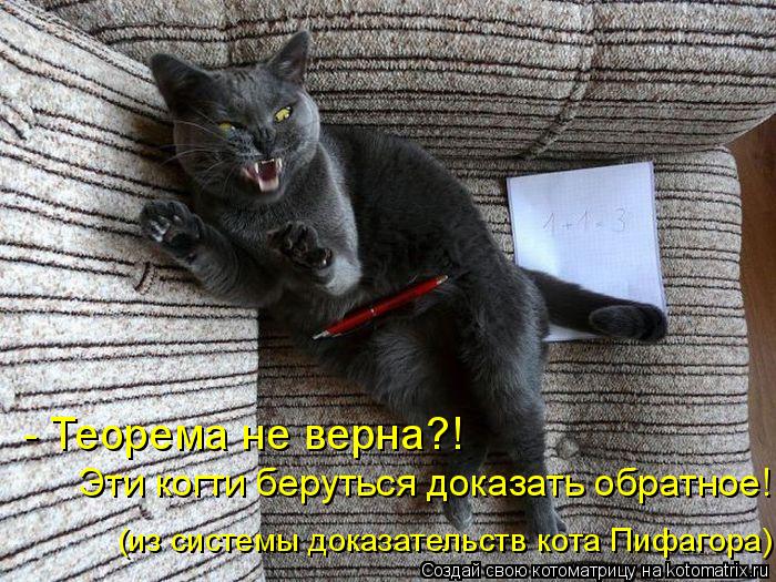 Котоматрица: - Теорема не верна?!  Эти когти беруться доказать обратное! (из системы доказательств кота Пифагора)