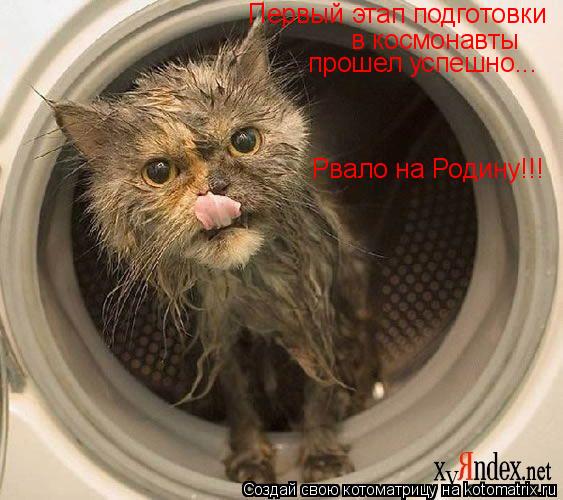 Первый этап подготовки в космонавты прошел успешно... Рвало на Родину!!!... Котоматрица: Первый этап подготовки в космонавты прошел успешно... Рвало на Родину!!!