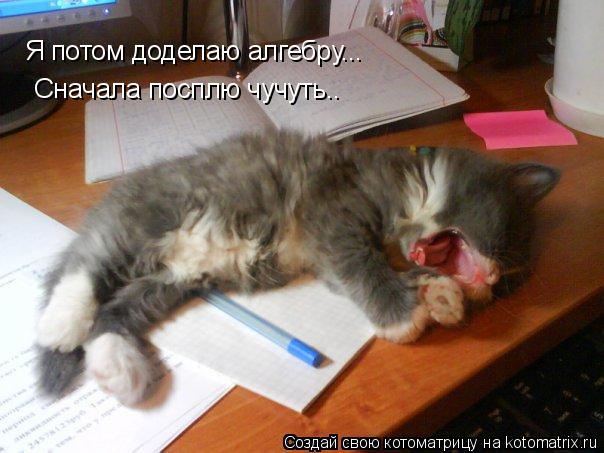 Я потом доделаю алгебру... Сначала посплю чучуть.. Я потом доделаю алгебру... Сначала посплю чучуть.... Котоматрица: Я потом доделаю алгебру... Сначала посплю чучуть.. Я потом доделаю алгебру... Сначала посплю чучуть..