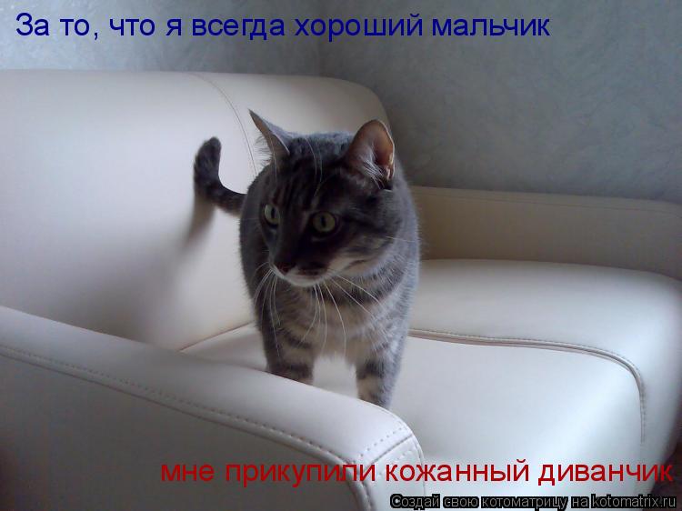 За то, что я всегда хороший мальчик мне прикупили кожанный диванчик... Котоматрица: За то, что я всегда хороший мальчик мне прикупили кожанный диванчик