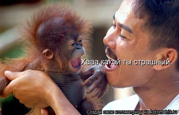 Хааа какой ты страшный.... Котоматрица: Хааа какой ты страшный.