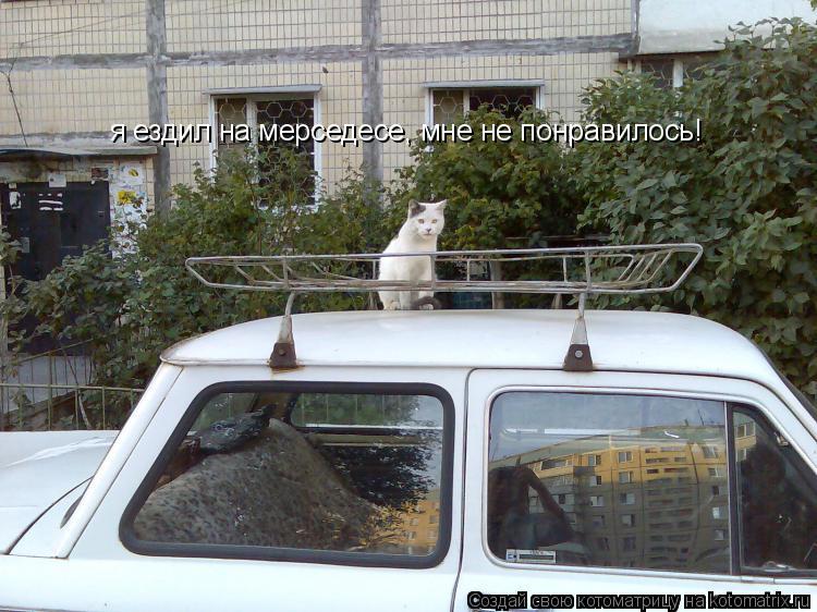 я ездил на мерседесе, мне не понравилось!... Котоматрица: я ездил на мерседесе, мне не понравилось!