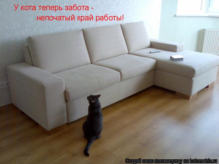 У кота теперь забота - непочатый край работы!... Котоматрица: У кота теперь забота - непочатый край работы!