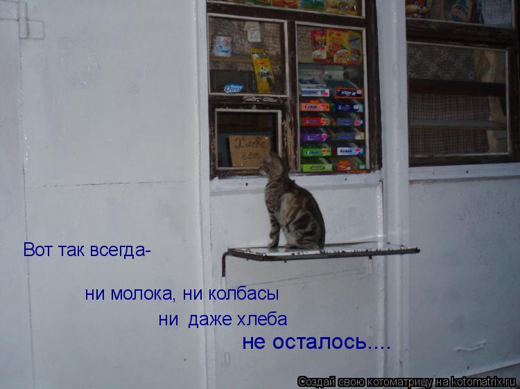 Вот так всегда- ни молока, ни колбасы ни даже хлеба не осталось....... Котоматрица: Вот так всегда- ни молока, ни колбасы ни даже хлеба не осталось....