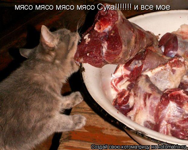 Котоматрица: мясо мясо мясо мясо Сука!!!!!!! и все мое