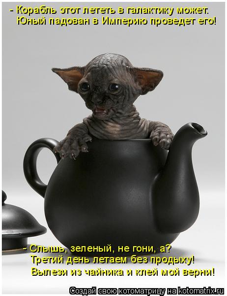 - Корабль этот лететь в галактику может. Юный падован в Империю проведет его! - Слышь, зеленый, не го... Котоматрица: - Корабль этот лететь в галактику может. Юный падован в Империю проведет его! - Слышь, зеленый, не гони, а? Третий день летаем без продыху! Выле