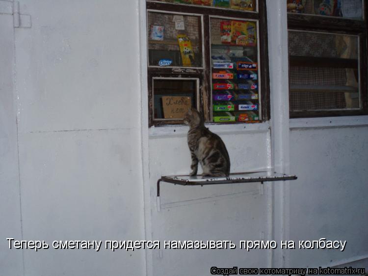 Теперь сметану придется намазывать прямо на колбасу... Котоматрица: Теперь сметану придется намазывать прямо на колбасу