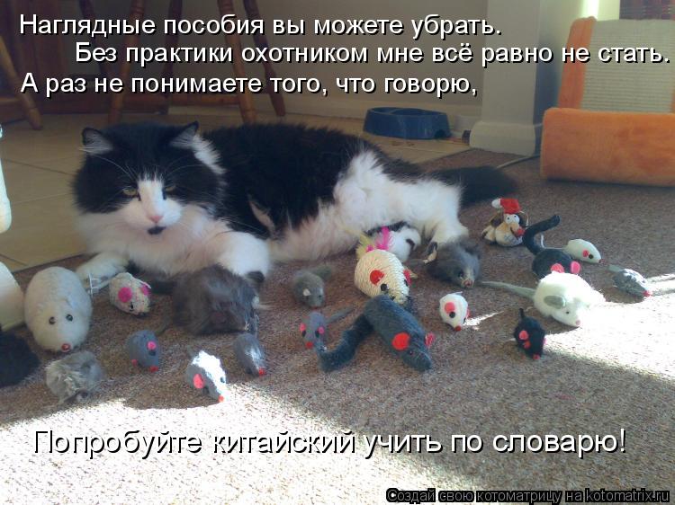 Без практики охотником мне всё равно не стать. Наглядные пособия вы можете убрать. А раз не понимает... Котоматрица: Без практики охотником мне всё равно не стать. Наглядные пособия вы можете убрать. А раз не понимаете того, что говорю, Попробуйте китайски