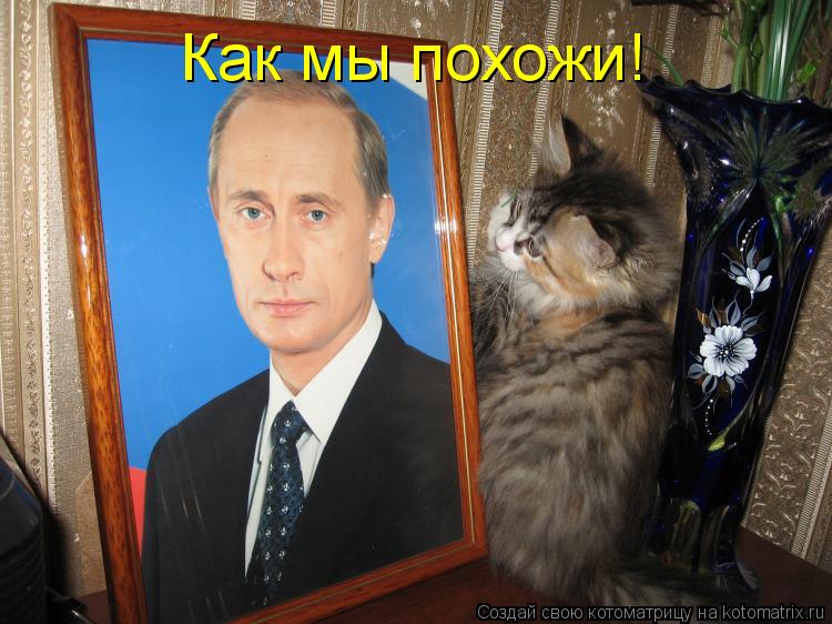 Как мы похожи!... Котоматрица: Как мы похожи!