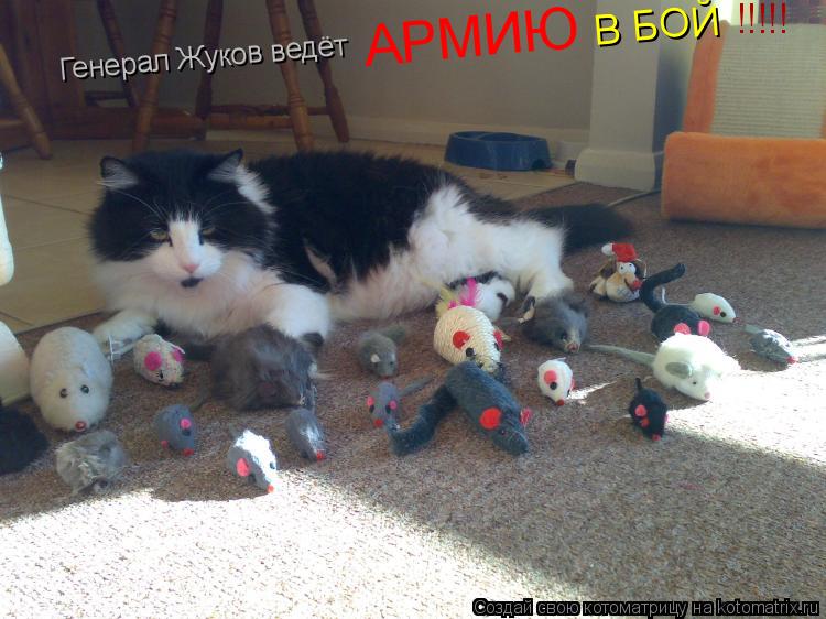 Генерал Жуков ведёт АРМИЮ В БОЙ !!!!!... Котоматрица: Генерал Жуков ведёт АРМИЮ В БОЙ !!!!!