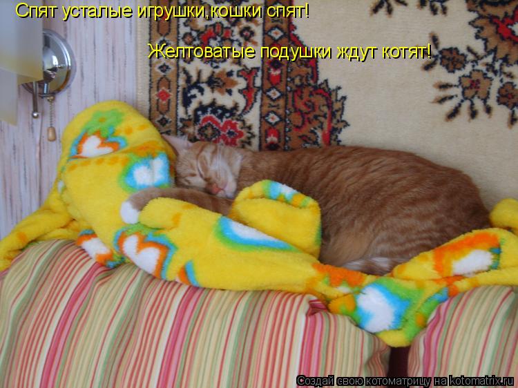 Спят усталые игрушки,кошки спят! Желтоватые подушки ждут котят!... Котоматрица: Спят усталые игрушки,кошки спят! Желтоватые подушки ждут котят!