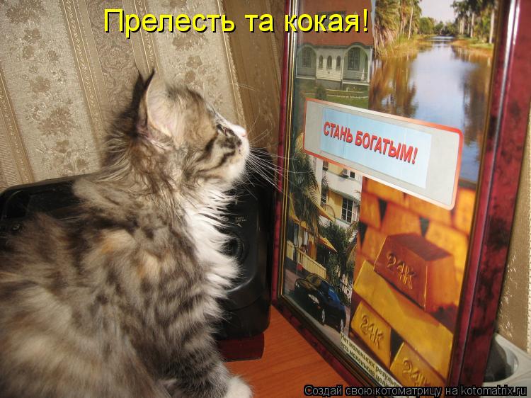 Прелесть та кокая!... Котоматрица: Прелесть та кокая!