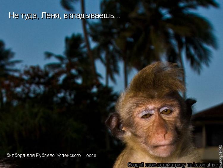Не туда, Лёня, вкладываешь... билборд для Рублёво-Успенского шоссе... Котоматрица: Не туда, Лёня, вкладываешь... билборд для Рублёво-Успенского шоссе