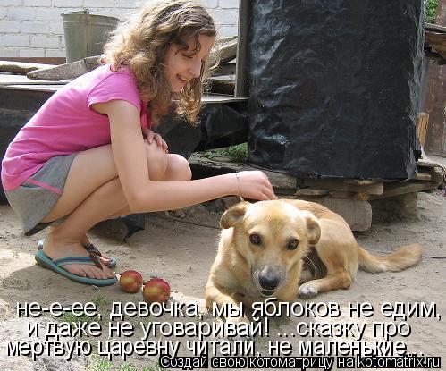 мертвую царевну читали, не маленькие... и даже не уговаривай! ...сказку про не-е-ее, девочка, мы ябл... Котоматрица: мертвую царевну читали, не маленькие... и даже не уговаривай! ...сказку про не-е-ее, девочка, мы яблоков не едим, и даже не уговаривай! ...сказку
