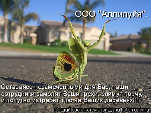 сотрудники замолят Ваши грехи, снимут порчу, и попутно истребят тлю на Ваших деревьях!!! Оставаясь не... Котоматрица: сотрудники замолят Ваши грехи, снимут порчу, и попутно истребят тлю на Ваших деревьях!!! Оставаясь незамеченными для Вас, наши ООО "Аллилуйя"