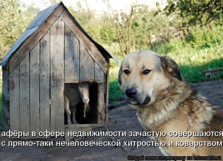 афёры в сфере недвижимости зачастую совершаются с прямо-таки нечеловеческой хитростью и коварством... Котоматрица: афёры в сфере недвижимости зачастую совершаются с прямо-таки нечеловеческой хитростью и коварством