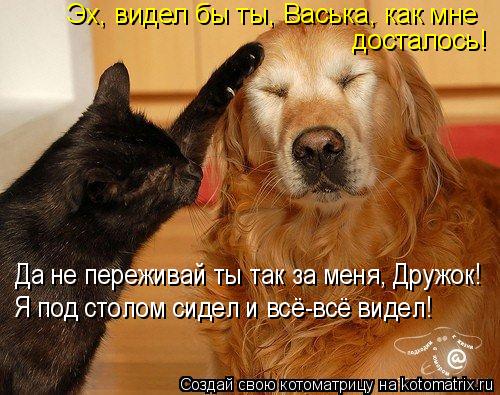 Эх, видел бы ты, Васька, как мне досталось! Да не переживай ты так за меня, Дружок! Я под столом сид... Котоматрица: Эх, видел бы ты, Васька, как мне досталось! Да не переживай ты так за меня, Дружок! Я под столом сидел и всё-всё видел!