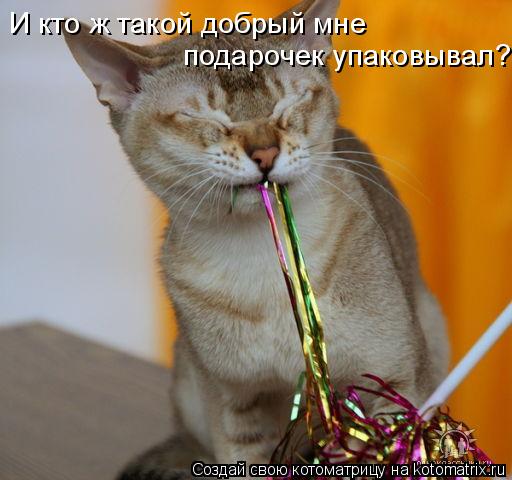 И кто ж такой добрый мне подарочек упаковывал?... Котоматрица: И кто ж такой добрый мне подарочек упаковывал?