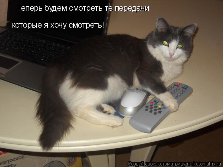Теперь будем смотреть те передачи которые я хочу смотреть!... Котоматрица: Теперь будем смотреть те передачи которые я хочу смотреть!